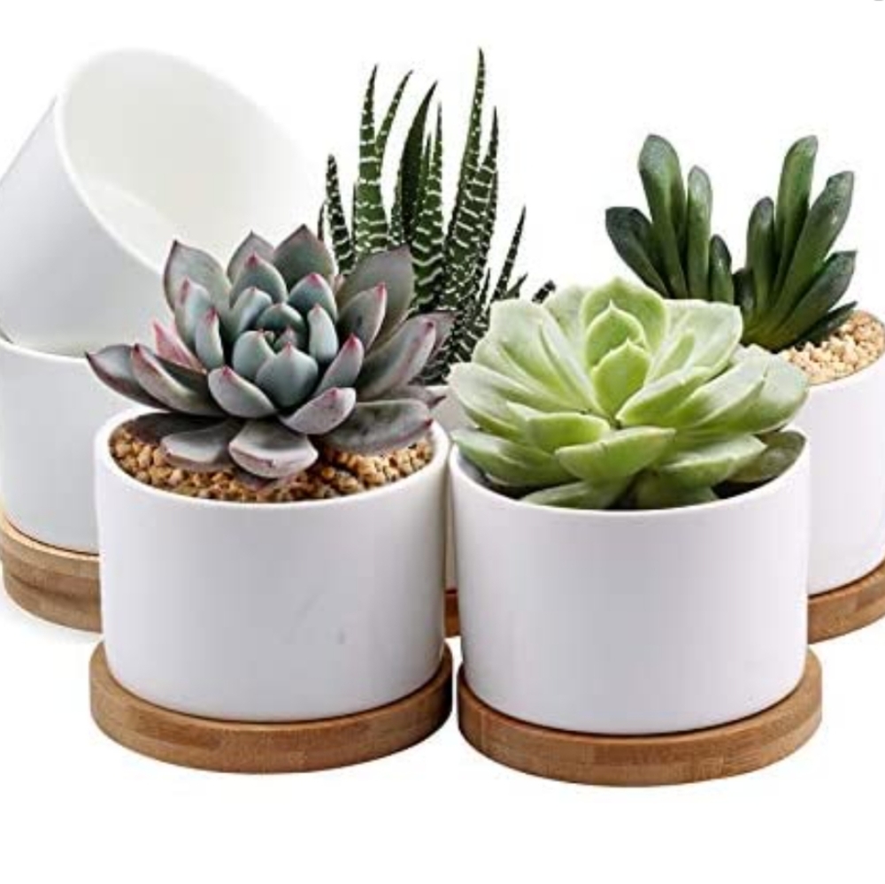 3 - White Ceramic Flower Pots with Bamboo Tray